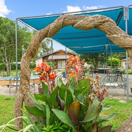 Care Choice of Boerne66