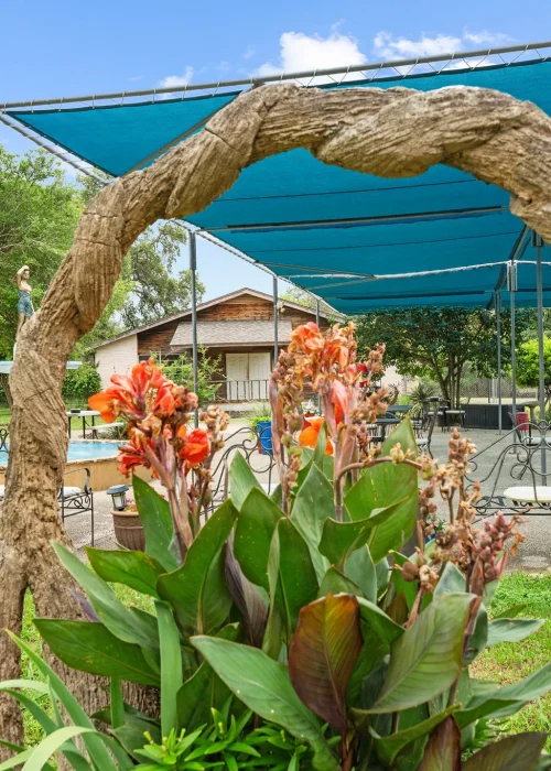 Care Choice of Boerne66
